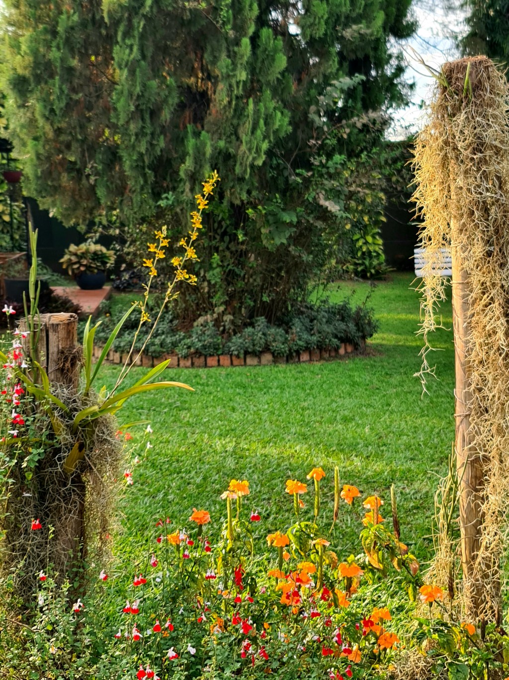 From Dream to Reality: Transforming Your Garden&nbsp;Space